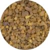 natural frankincense vibrant