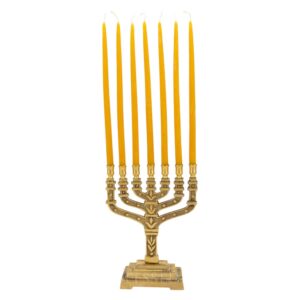 festival of lights beeswax menorah candles